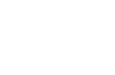 SSIP Logo